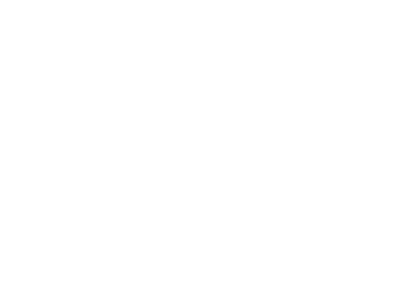 G DATA